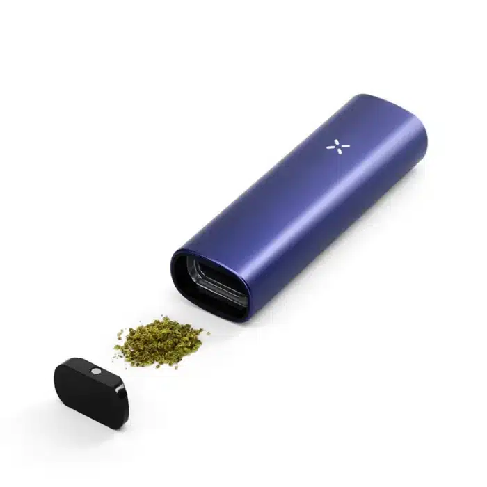 pax plus starter kit herbe